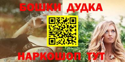 мдпв Будённовск