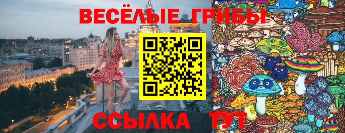 Псилоцибиновые грибы прущие грибы  Псилоцибиновые грибы Magic Shrooms  Вход с VPN  Биробиджан 