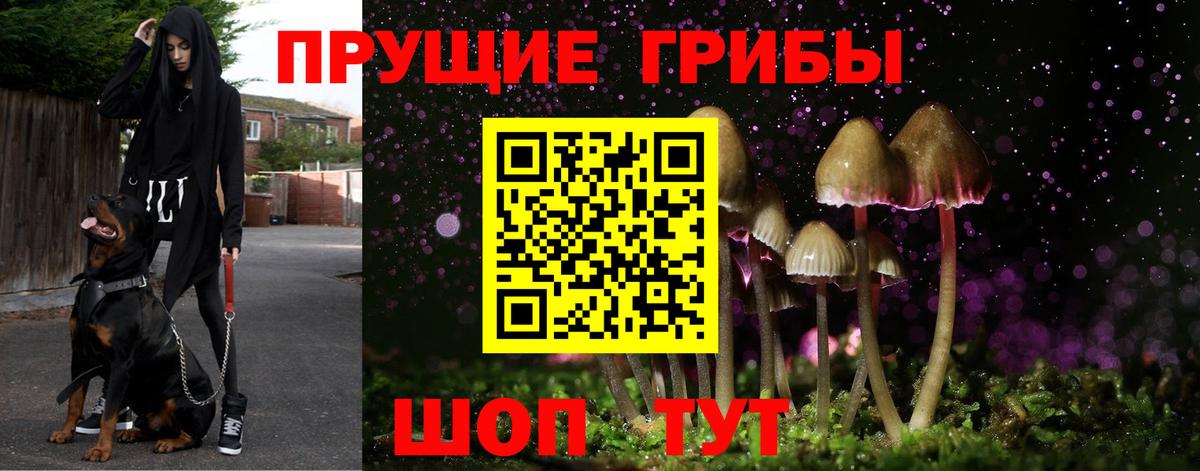 Галлюциногенные грибы MAGIC MUSHROOMS Биробиджан